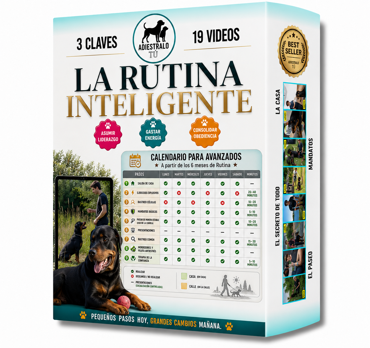 La Rutina Inteligente