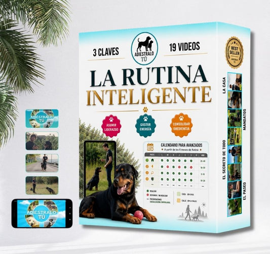 Método Rutina Inteligente